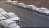 Brutos de nevada en Ciudad Real